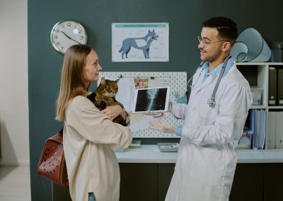 instalaciones-clinicas-veterinarias-veterindalo