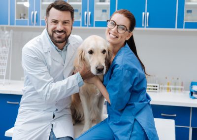 instalaciones5-clinicas-veterinarias-veterindalo